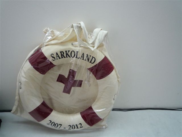 Swimming Sarko, Fanny Baxter, La GAD Marseille, 2010 — Sarkoland, détail et présentation de l’œuvre.