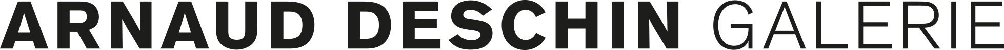 Arnaud Deschin Galerie
