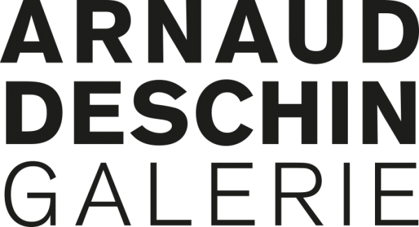 ARNAUD DESCHIN GALERIE
