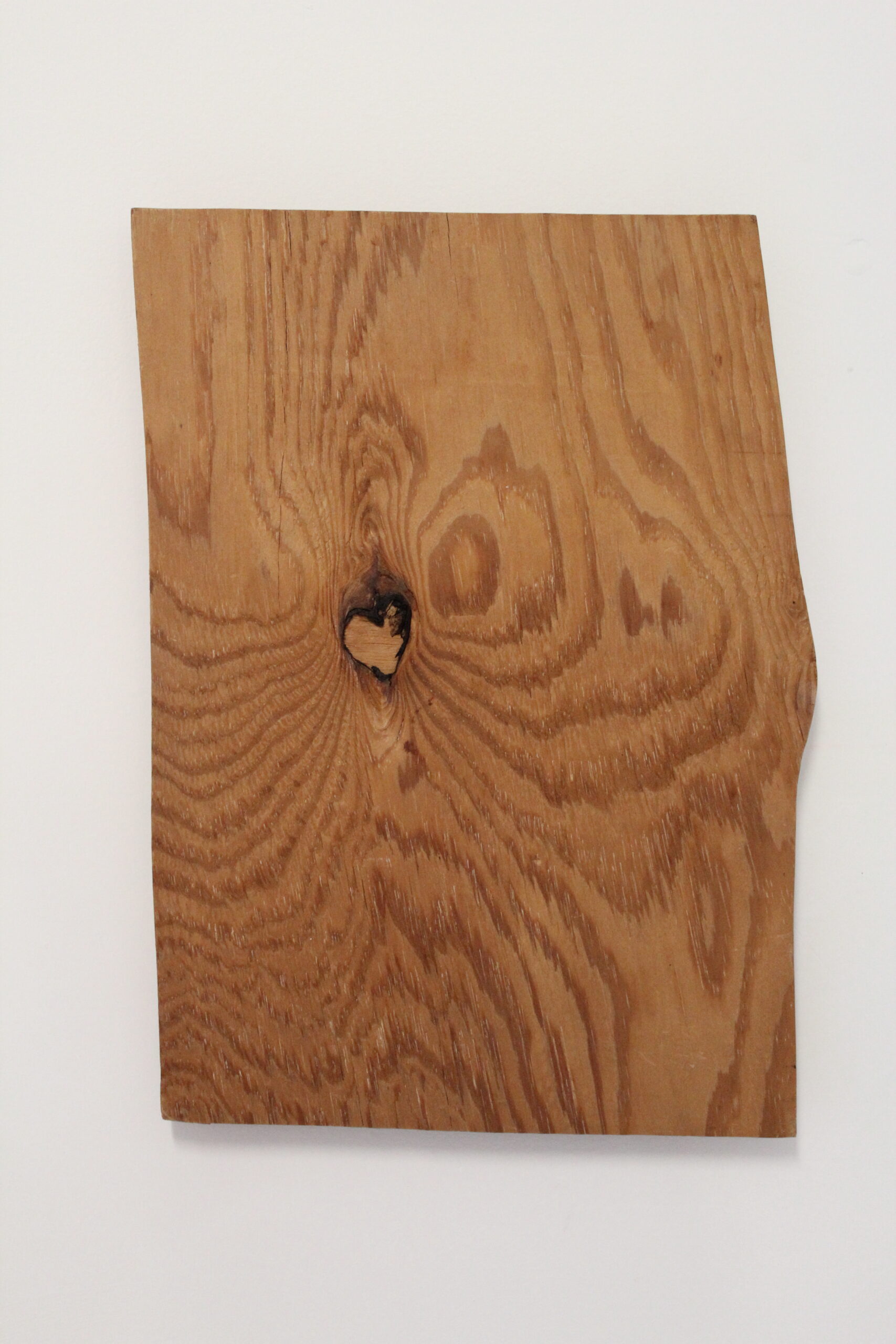 Arnaud le Cœur — peintures et vues d’exposition, photographie 6
