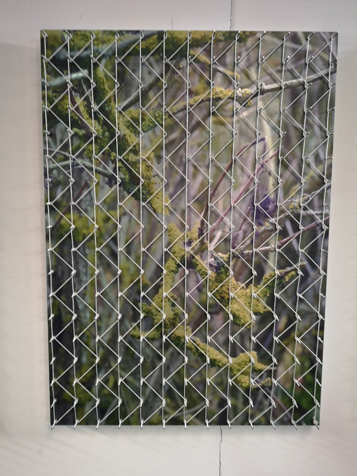 Vue de l’exposition « Le portfolio de la Galerie Valeria Cetraro », En gare !, Bagnolet, 2018