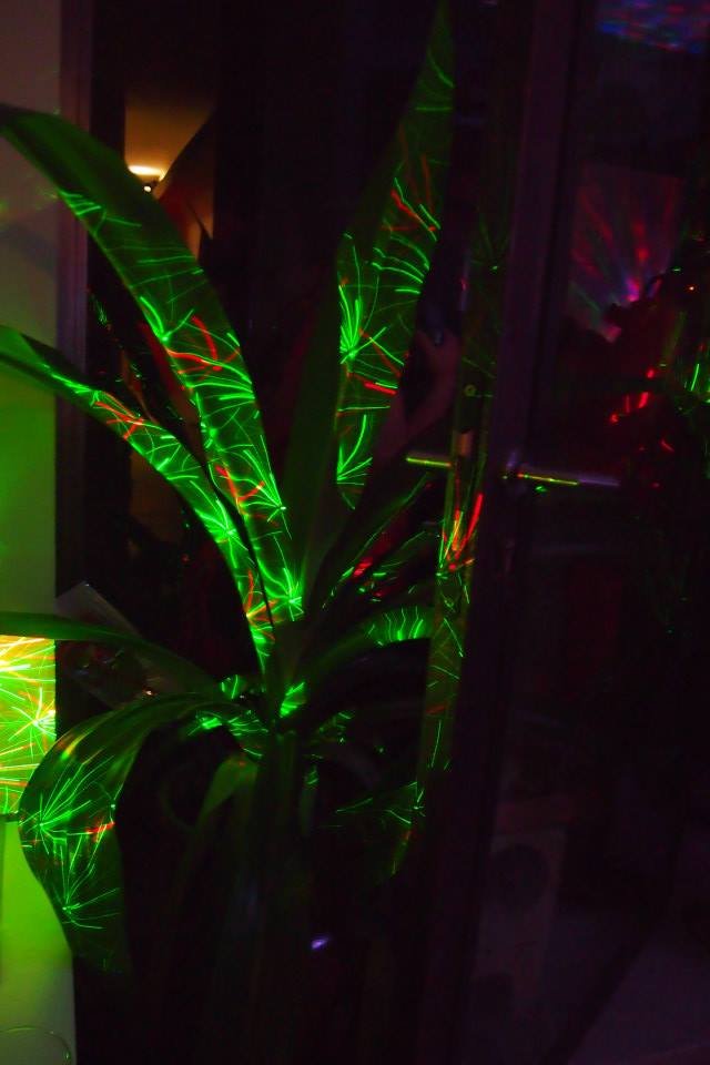 Vues de l’exposition et des œuvres — photo 8