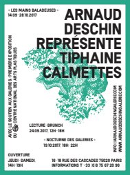 Tiphaine Calmettes — Publicités presse