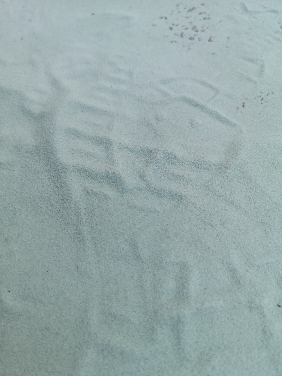 Détail du sable et des traces de passage