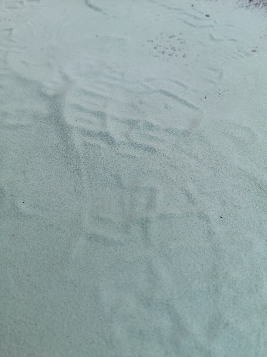Détail du sable et des traces de passage
