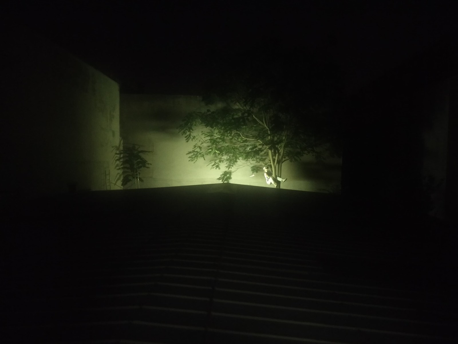 Vue nocturne d’En gare !