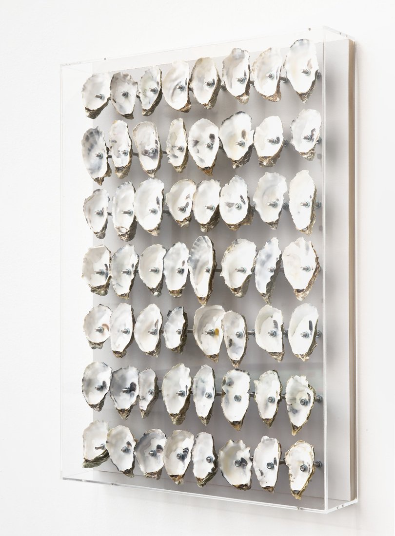 Pierre Clement, Emptiness (second toss), 2017