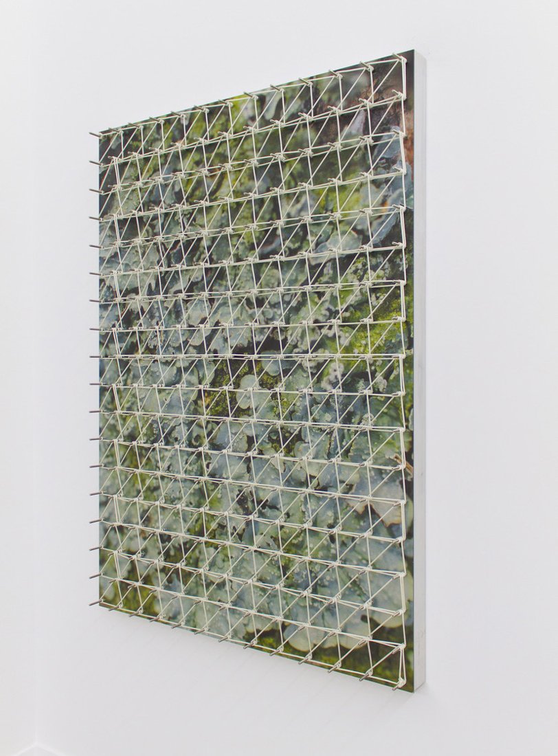 Pierre Clément, Keep your master channel sync’d with your master channel (algae), 2017 