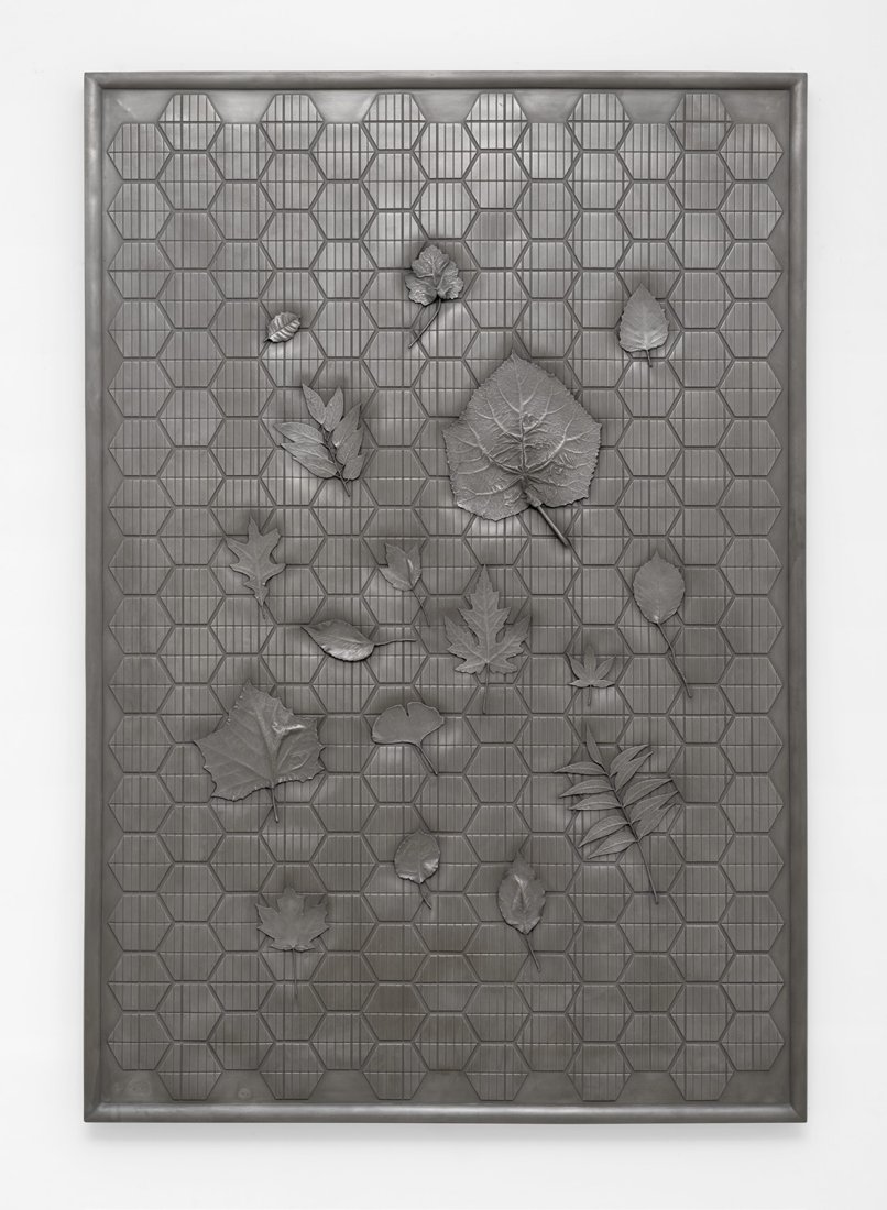 Michael Jones McKean, Kepler-1229b.,2017 