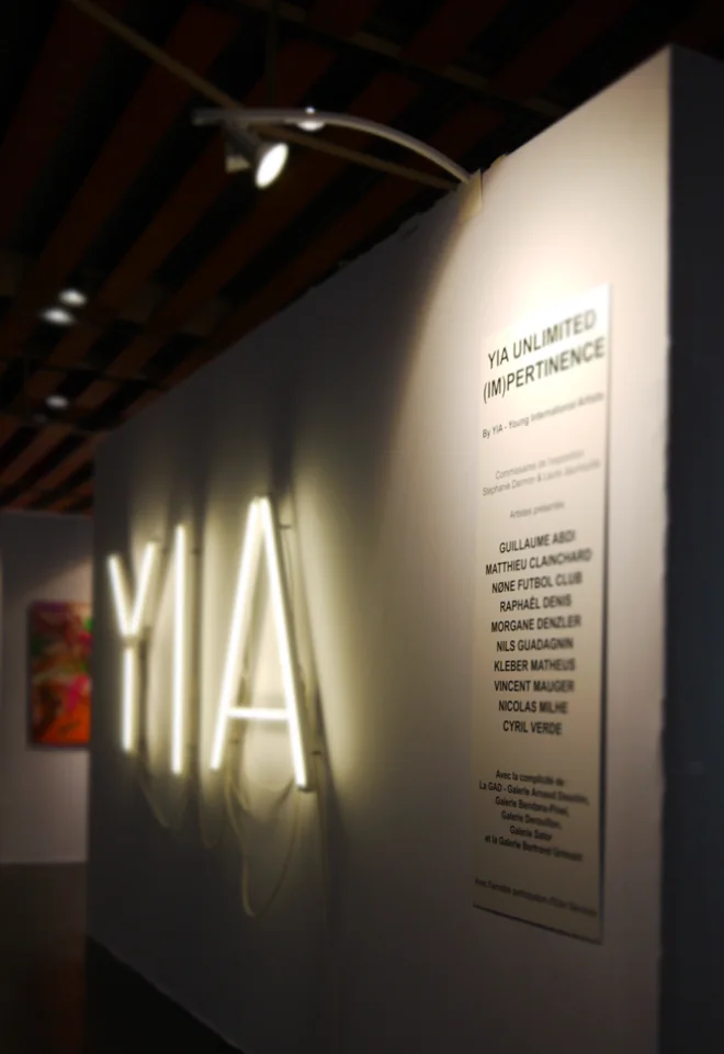 YIA Unlimited — (Im)pertinence, Lille Art Up! 2014 — vues de l’exposition — suite 2 — photographie 19