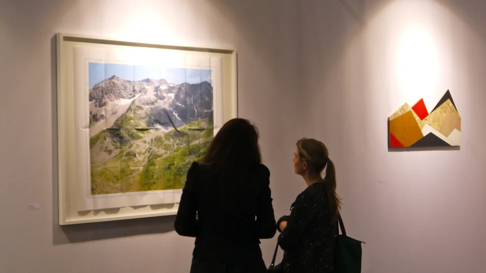 YIA Unlimited — (Im)pertinence, Lille Art Up! 2014 — rencontres et vie de la foire — suite 2 — photographie 31